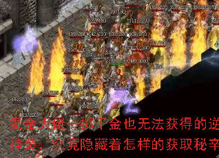 봽һǧҲ޷õװĻȡ