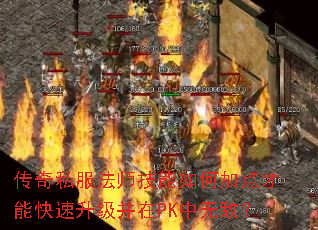 ˽ʦμӵܿPK޵У