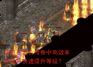 ڸŴиЧȼ