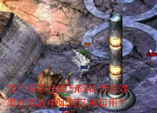 ʦ˲ƼЧʵսã