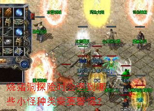 ̽ʱЩСҪ裿