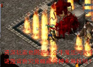 ҲĹţħѨǧⱳ󾿾غδƣ