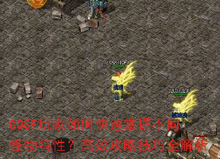CQSFοղͬԣЧԼȫ