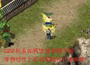 CQSFοղͬԣЧԼȫ