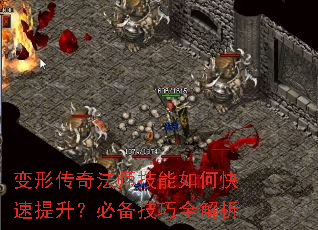 δ淨ʦοرȫ