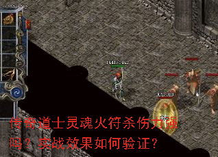 ʿɱǿʵսЧ֤