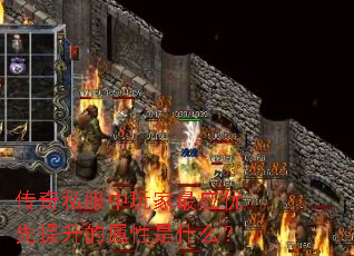 ˽Ӧʲô