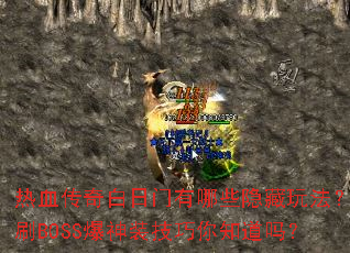 ѪЩ淨ˢBOSSװ֪