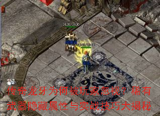 ΪαҺӣϡʵսɴ