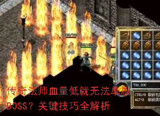 淨ʦѪ;޷ˢBOSSؼȫ