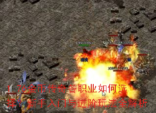 1.76Ҵְҵѡ淨ȫ