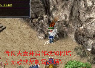 ޲ս޵Ĭưս