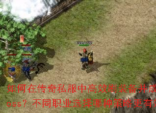 ڴ˽иЧˢװɹɱBossְͬҵѡֲԸЧ