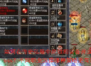 ڴ˽иЧˢװɹɱBossְͬҵѡֲԸЧ