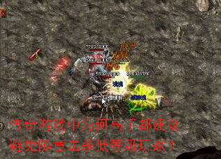 ������Ϸ��Ϊ�θ��ֶ�������������ɱ�͵ȼ���ң�