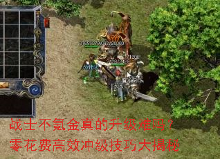 战士不氪金真的升级难吗?零花费高效冲级技巧大揭秘 战士不氪金真的升级难吗?零花费高效冲级技巧大揭秘