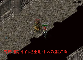 传奇初期小白战士用什么武器好啊 传奇初期小白战士用什么武器好啊
