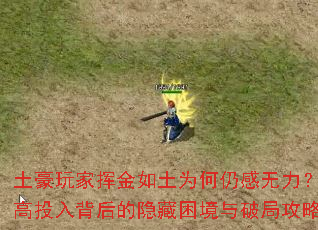 һӽΪԸϷͶ뱳ƾֹȫ