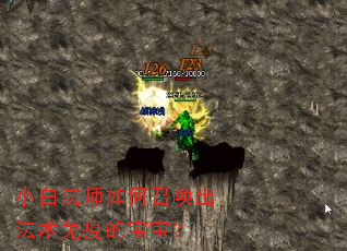 小白法师如何召唤出法术免疫的宝宝? 小白法师如何召唤出法术免疫的宝宝?