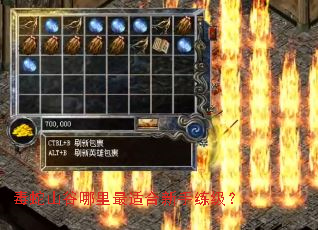 毒蛇山谷哪里最适合新手练级? 毒蛇山谷哪里最适合新手练级?