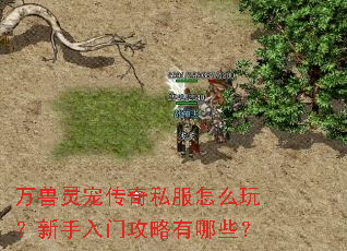 万兽灵宠传奇私服怎么玩?新手入门攻略有哪些? 万兽灵宠传奇私服怎么玩?新手入门攻略有哪些?