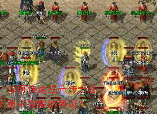 如何快速提升传奇私服中宝宝的等级? 如何快速提升传奇私服中宝宝的等级?