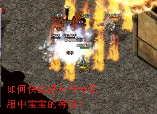 如何快速提升传奇私服中宝宝的等级? 如何快速提升传奇私服中宝宝的等级?