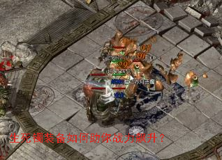 生死镯装备如何助你战力飙升? 生死镯装备如何助你战力飙升?