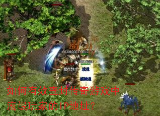 �����Ч��⴫����Ϸ����å��ҵ�IP��ַ��