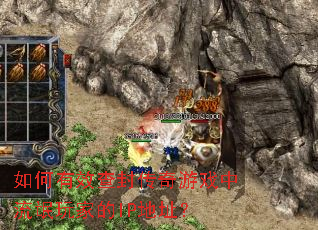 �����Ч��⴫����Ϸ����å��ҵ�IP��ַ��