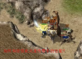 �����Чǿ�����������еļ��ܣ�