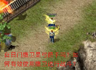 ������ӥ���ǹ������������Чʹ��ӥ������ս����