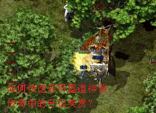 ��ο��ٻ��ī�����������е��������ͣ�