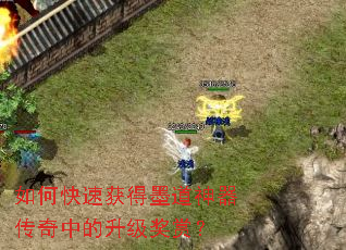 ��ο��ٻ��ī�����������е��������ͣ�