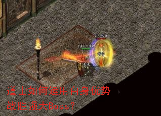 ��ʿ���������������սʤǿ��Boss��