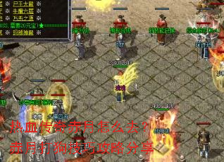 ��Ѫ���������ôȥ�����´򹷼��ɹ��Է���