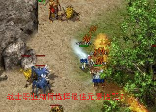 战士职业如何选择最佳元素搭配? 战士职业如何选择最佳元素搭配?