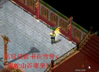 高级技能书在传奇sf毒蛇山谷哪里打? 高级技能书在传奇sf毒蛇山谷哪里打?