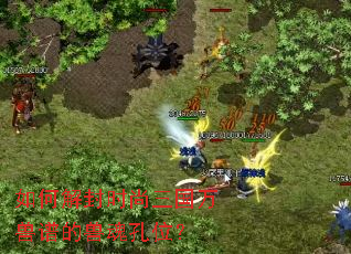 如何解封时尚三国万兽谱的兽魂孔位? 如何解封时尚三国万兽谱的兽魂孔位?