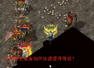 �����ʿ������ο��������ȼ���