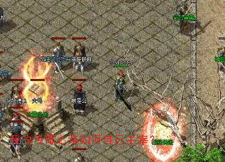 �ҵĴ���֮·����Լ����ף�