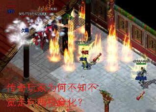 �������Ϊ�β�֪�������������ֻ���