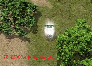 ���BOSS��θ�Ч���ܣ�