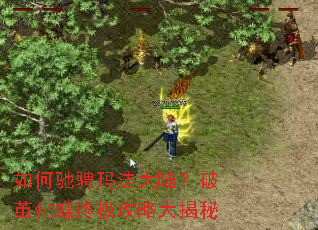 如何驰骋玛法大陆?破茧化蝶终极攻略大揭秘 如何驰骋玛法大陆?破茧化蝶终极攻略大揭秘