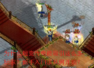 为什么超变传奇能吸引这么多玩家?新手入门该从何开始? 为什么超变传奇能吸引这么多玩家?新手入门该从何开始?