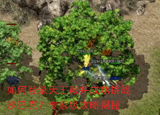 如何登录天王殿并成功挑战沙巴克?专家级攻略揭秘 如何登录天王殿并成功挑战沙巴克?专家级攻略揭秘