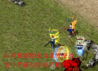 ��θ���ְҵѡ������Ϸ�е����������