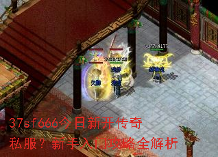 37sf666�����¿�����˽�����������Ź���ȫ����