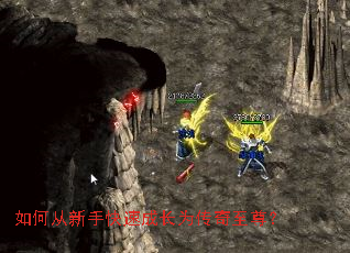 ��δ����ֿ��ٳɳ�Ϊ��������