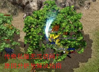 ����˽���޷����ʣ�ԭ���������ָ��